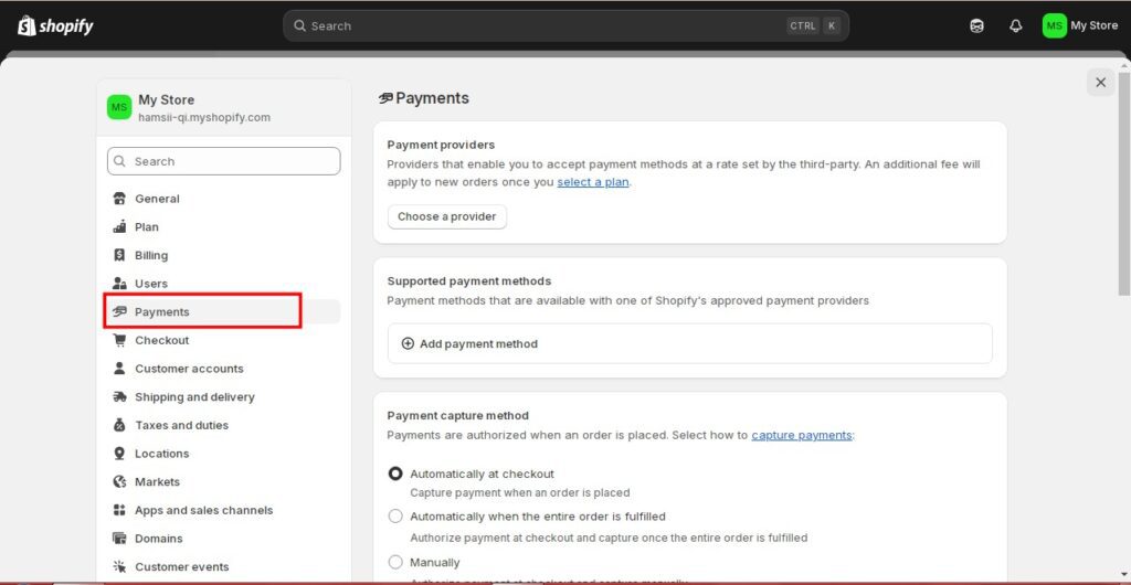 Payments Setup in shopify